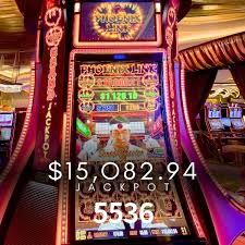 Daily Bonuses 5536
